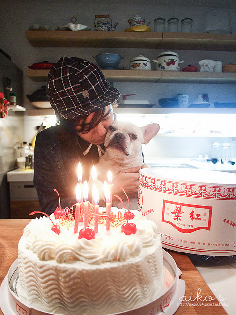 【午茶點心】紅葉蛋糕～傳統海綿鮮奶油蛋糕，記憶的味道提醒著要好好過生日。